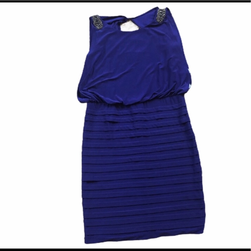 NWT Scarlett Nite Purple Dress